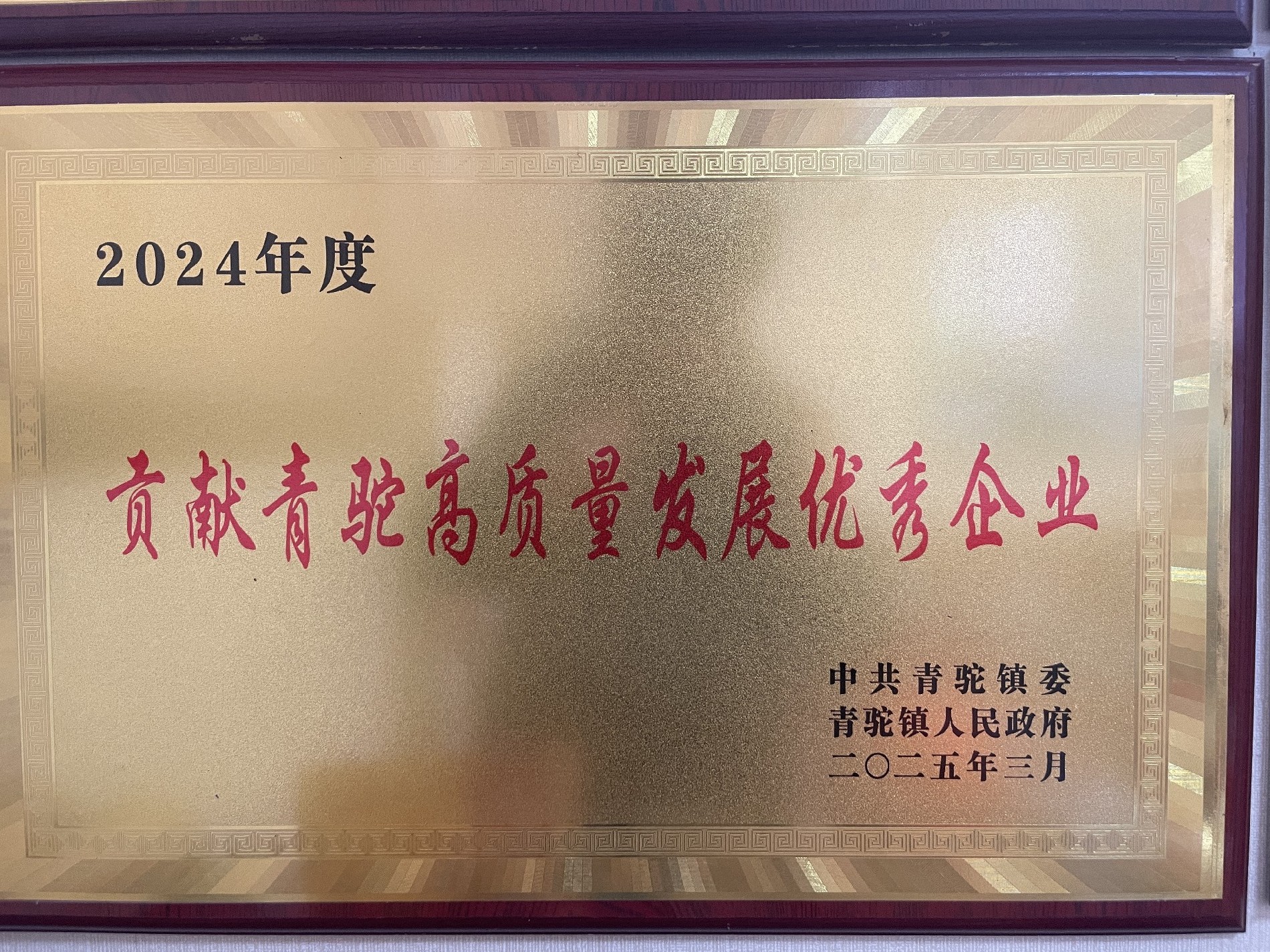 2024年度贡献青驼高质量发展优秀企业